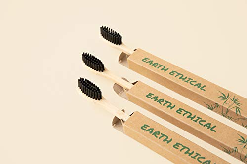 [10 Paket] Biyobozunur Bambu Diş Fırçaları-Temiz Dişler için Yumuşak Kömür İnfüze Kıllar-Sürdürülebilir Ahşap Diş Fırçası-Süren