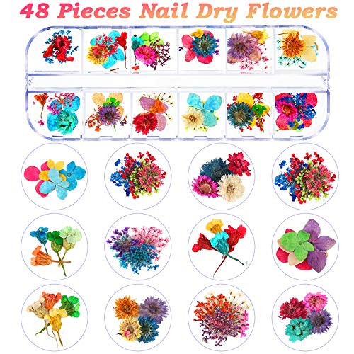 48 Parça Tırnak Kurutulmuş Çiçek 3D Kurutulmuş Çiçek Nail Art Dekorasyon, 12 Renkler Kelebek Tırnak Glitter Pullu, 12 Renkler