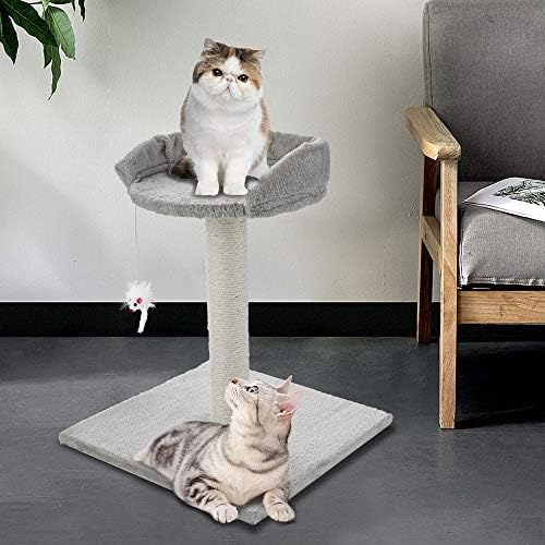 Platformlu ve Tırmalama Direkli Kedi Ağacı, Kapalı Kediler için Kedi Kulesi