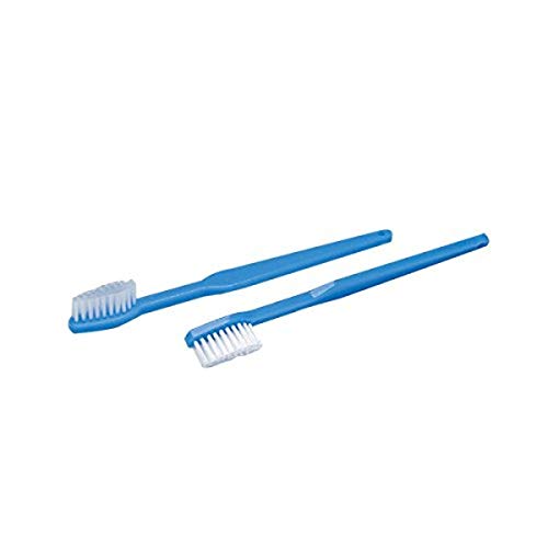 Grafco Diş Fırçası Yetişkin-39 Tutam, 7 İnç Uzunluk, 144'lü Paket-Tek Kullanımlık Diş Fırçaları Yumuşak Kıl, 3395-1
