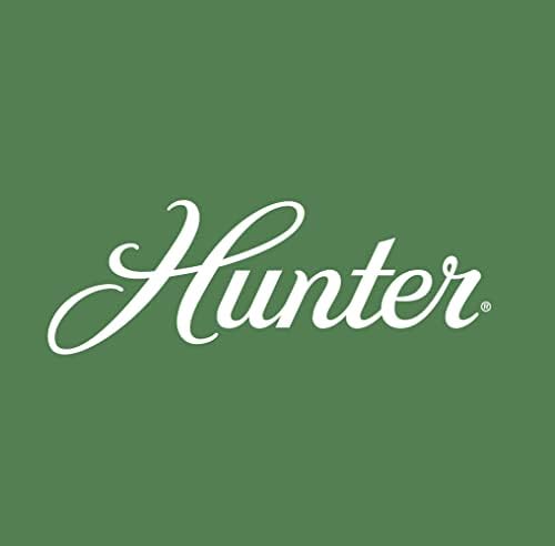 Hunter Anslee Kapalı Alçak Profilli Tavan Vantilatörü, LED Işıklı ve Çekme Zinciri Kontrollü, 46, Mat Gümüş
