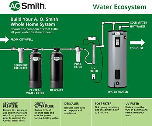 AO Smith 6 Yıllık, 600.000 Galonluk Tüm Ev Su Filtresi