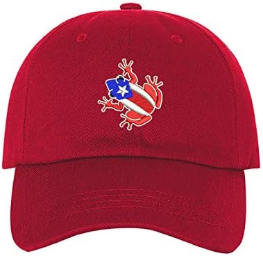 PRFCTO Coqui Porto Riko Bayrağı Unisex Beyzbol Şapkası-Coqui PR Bayrak Şapkası, Porto Riko Şapkası