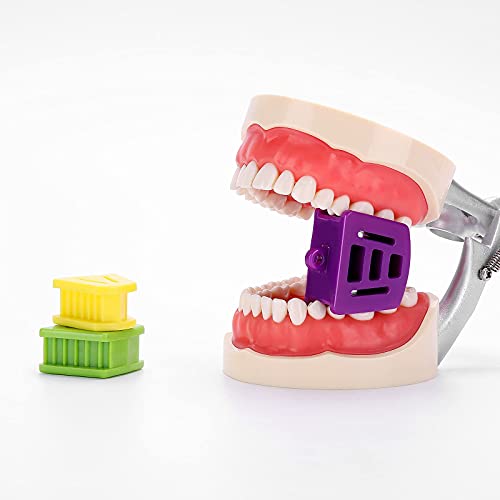 AZDENT 6 Adet Diş Bite Blokları Oral Silikon Ağız Prop Muti Boyutu Yanak Retraktörler Ortodontik Bite Blokları 249 Disinf Dezenfeksiyon