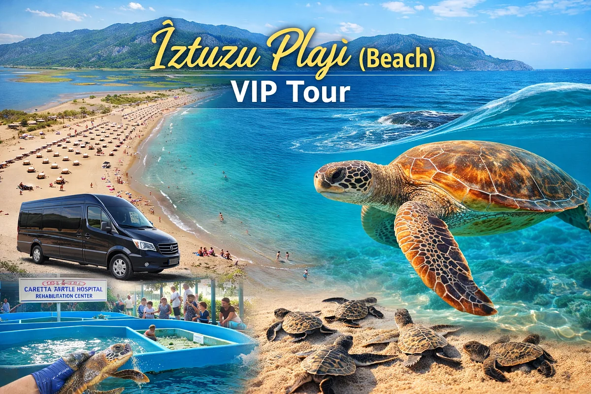 جولة VIP إلى شاطئ إيزتوزو