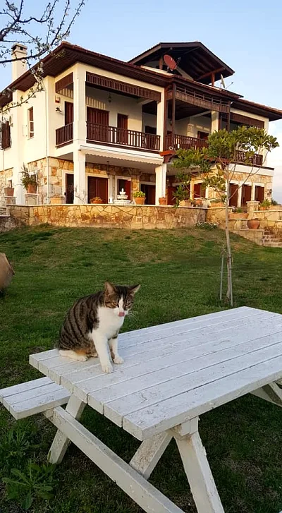 Villa Atalenta — fotoğraf 34