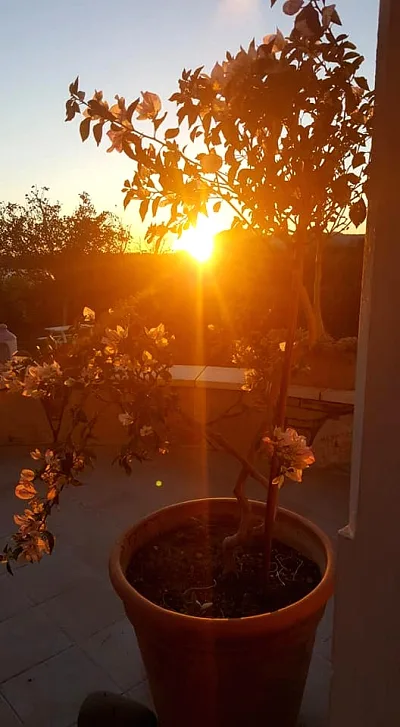 Villa Atalenta — fotoğraf 36