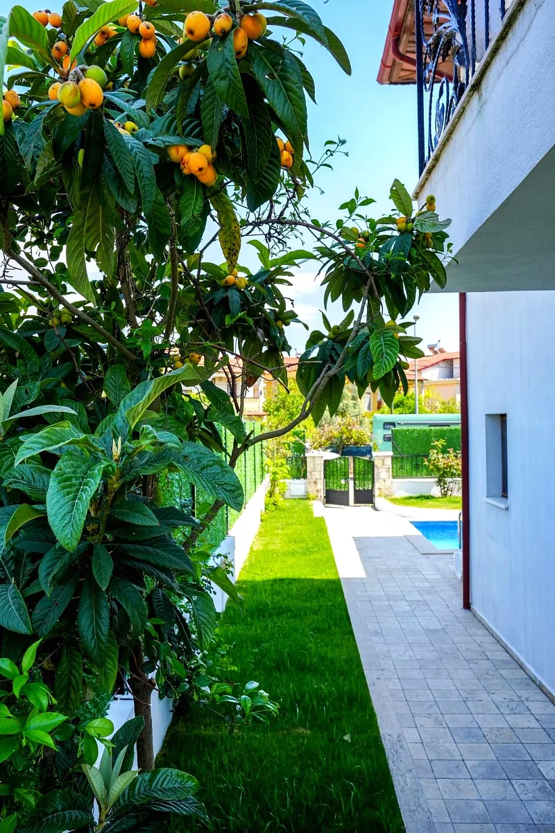 Villa Summer Life — Foto 3