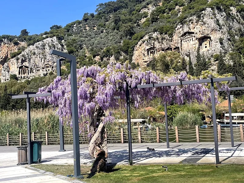 Villa Ataol 2 — fotoğraf 20