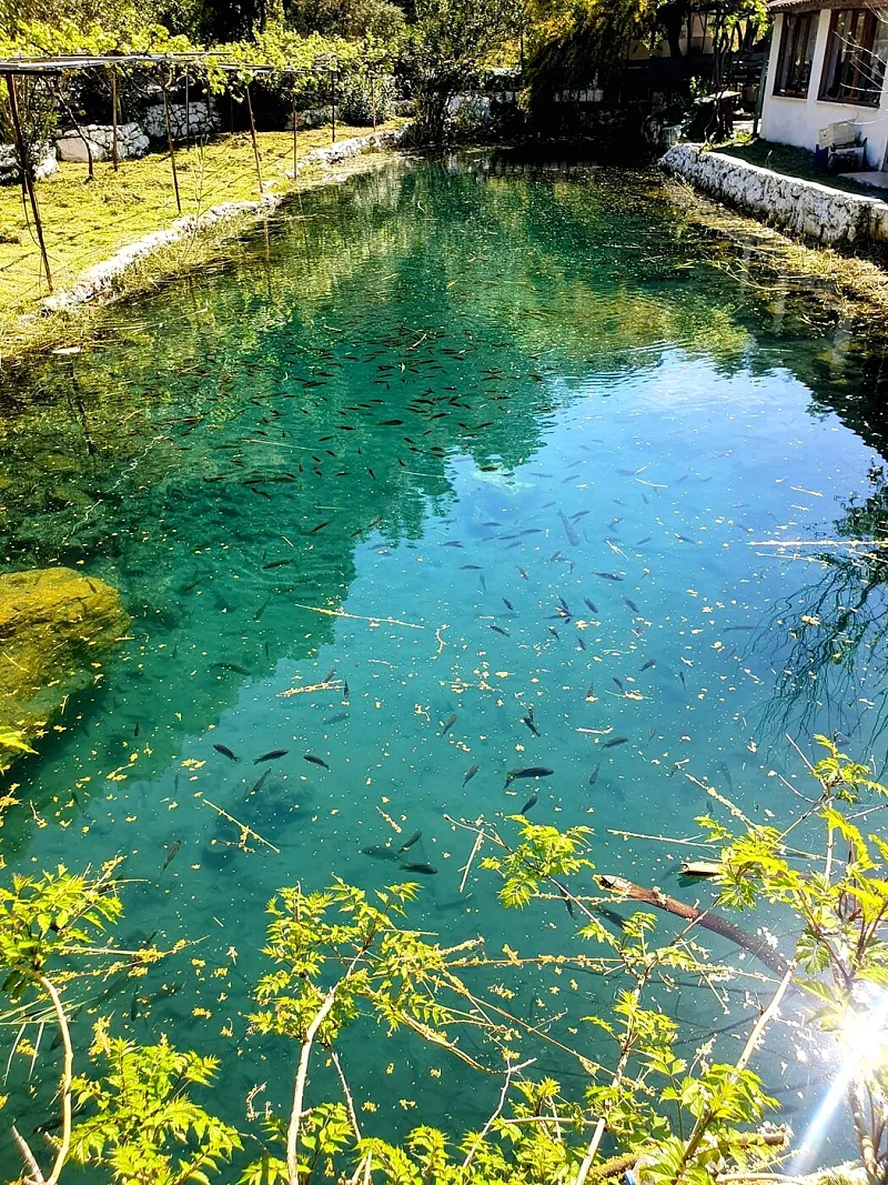 Villa Kemal 2 — fotoğraf 24