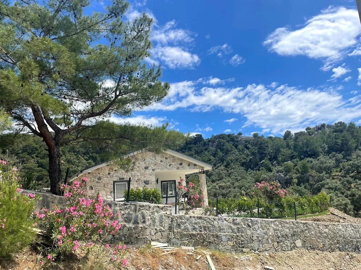 Villa Jakiro — الصورة 3