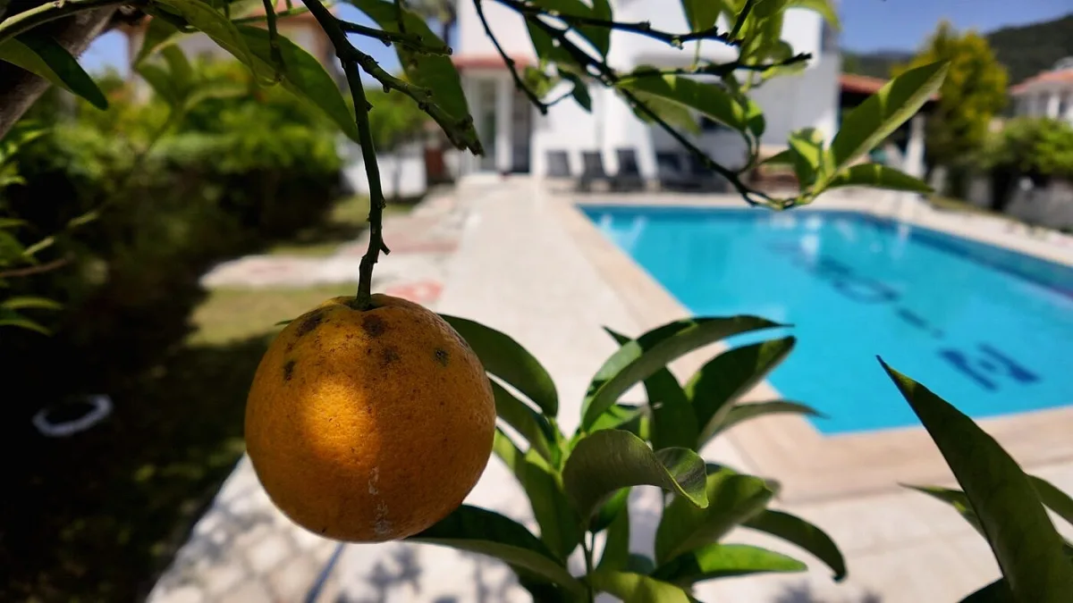 Villa Sparta — Foto 14
