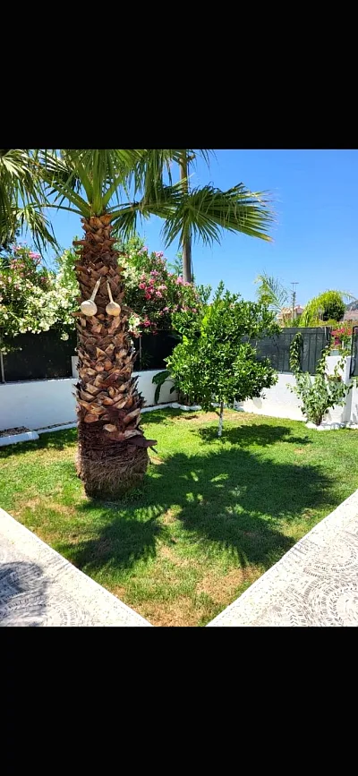 Villa Taşkın Keleş — Foto 7